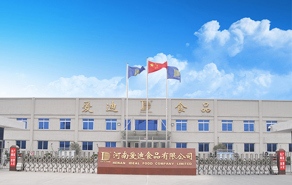 公司介绍